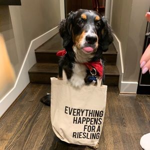 Meet your Posher, Jonathan